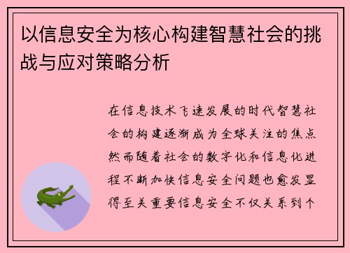 以信息安全为核心构建智慧社会的挑战与应对策略分析