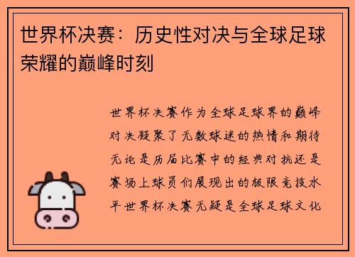 世界杯决赛：历史性对决与全球足球荣耀的巅峰时刻