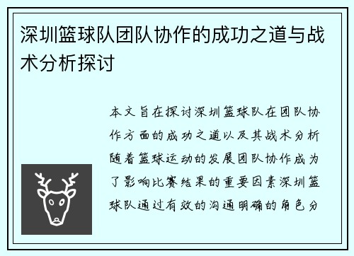 深圳篮球队团队协作的成功之道与战术分析探讨